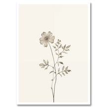Indlæs billede til gallerivisning Aesthetic Flower Plakat Plakana 21x30 cm (A4) Hvid Egetræ
