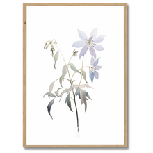 Indlæs billede til gallerivisning Delicate Wildflower Plakat Plakana 21x30 cm (A4) Egetræ

