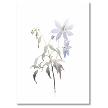 Indlæs billede til gallerivisning Delicate Wildflower Plakat Plakana 21x30 cm (A4) Hvid Egetræ
