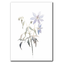 Indlæs billede til gallerivisning Delicate Wildflower Plakat Plakana 21x30 cm (A4) Ingen ramme

