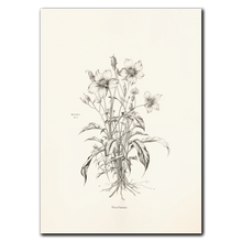 Indlæs billede til gallerivisning Floral Poetry Plakat Plakana 21x30 cm (A4) Ingen ramme
