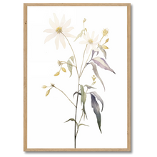 Indlæs billede til gallerivisning Floral Forms Plakat Plakana 21x30 cm (A4) Egetræ
