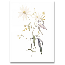 Indlæs billede til gallerivisning Floral Forms Plakat Plakana 21x30 cm (A4) Hvid Egetræ
