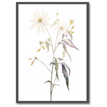 Indlæs billede til gallerivisning Floral Forms Plakat Plakana 21x30 cm (A4) Sort egetræ
