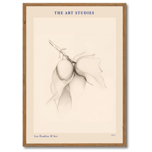 Indlæs billede til gallerivisning The Art Study Plakat Plakana 21x30 cm (A4) Mørk egetræ
