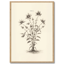 Indlæs billede til gallerivisning Wildflower Plakat Plakana 21x30 cm (A4) Egetræ
