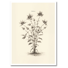 Indlæs billede til gallerivisning Wildflower Plakat Plakana 21x30 cm (A4) Hvid Egetræ
