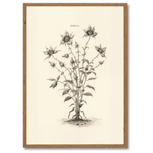 Indlæs billede til gallerivisning Wildflower Plakat Plakana 21x30 cm (A4) Mørk egetræ
