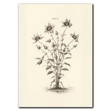 Indlæs billede til gallerivisning Wildflower Plakat Plakana 21x30 cm (A4) Ingen ramme
