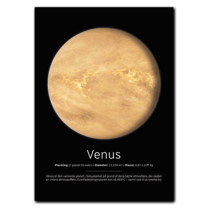 Venus Plakat Plakana 21x30 cm (A4) Ingen ramme