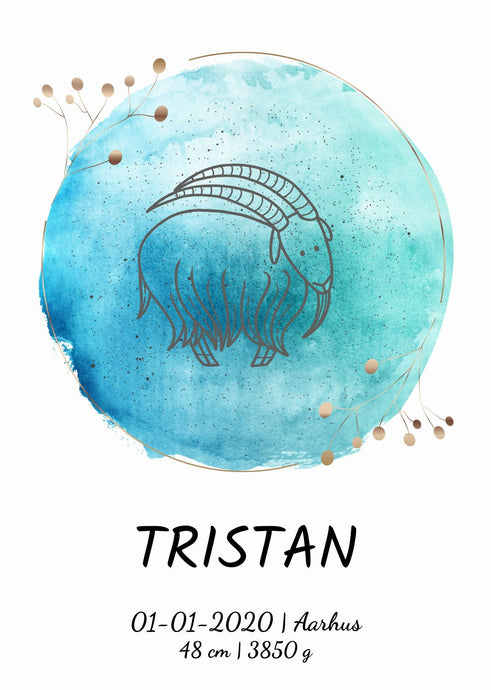 Zodiac fødselsplakat Plakana